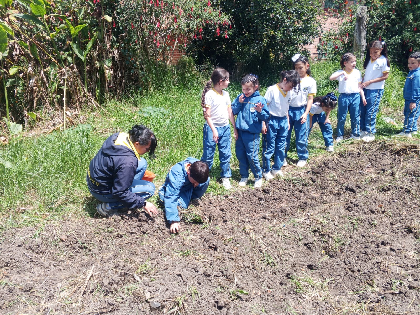 Preescolar